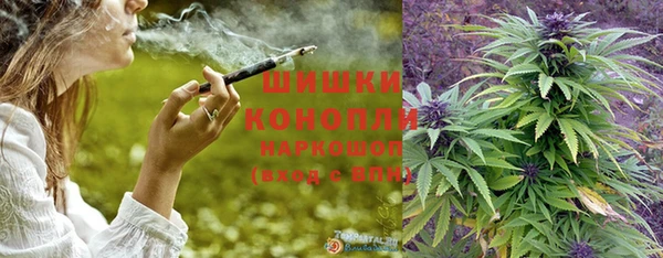 твердый Волоколамск